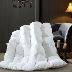 Duvet Insert solid